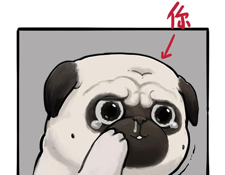 第256话 狗朋友12