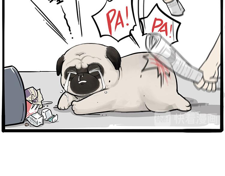 第256话 狗朋友9