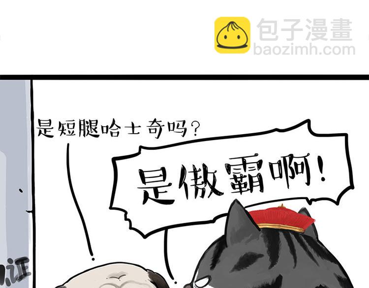 第258话 靠脸吃饭9
