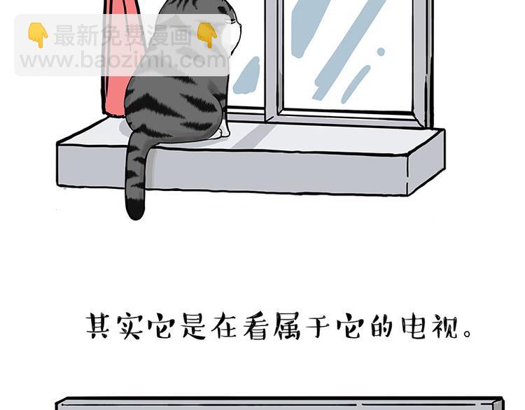 第260话 孤独解药17