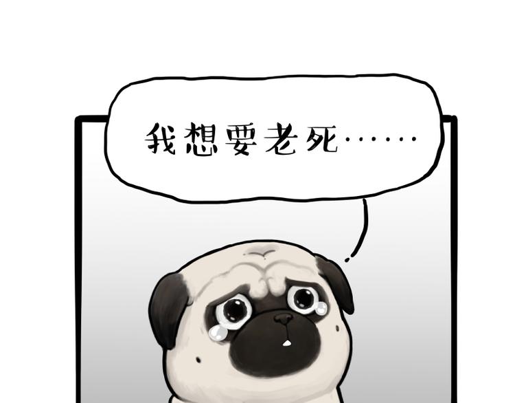 第261话 灭蟑？11