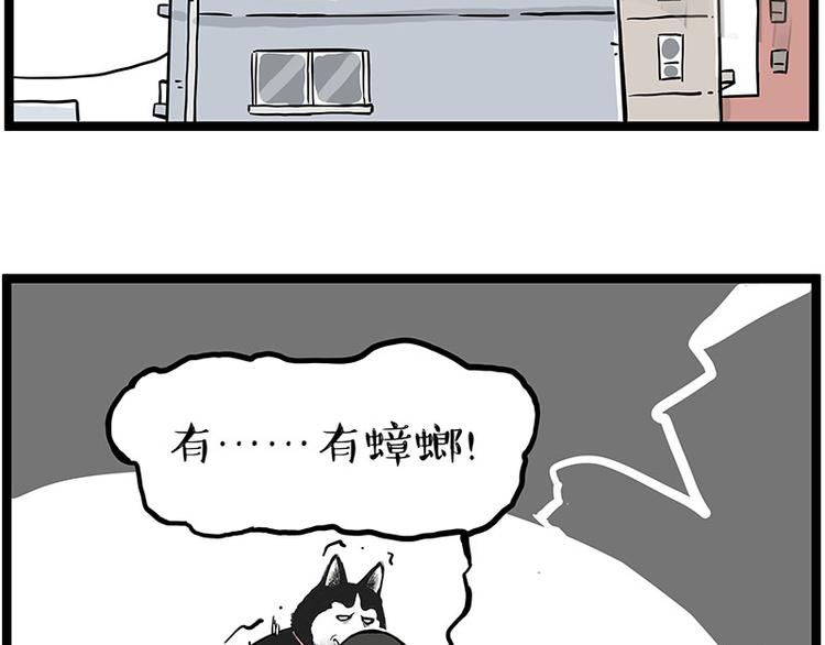 第261话 灭蟑？14