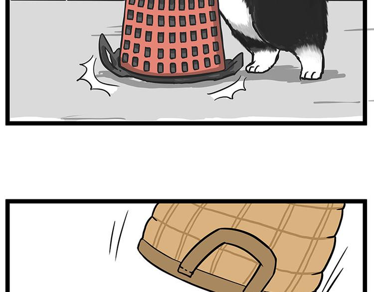 第261话 灭蟑？29