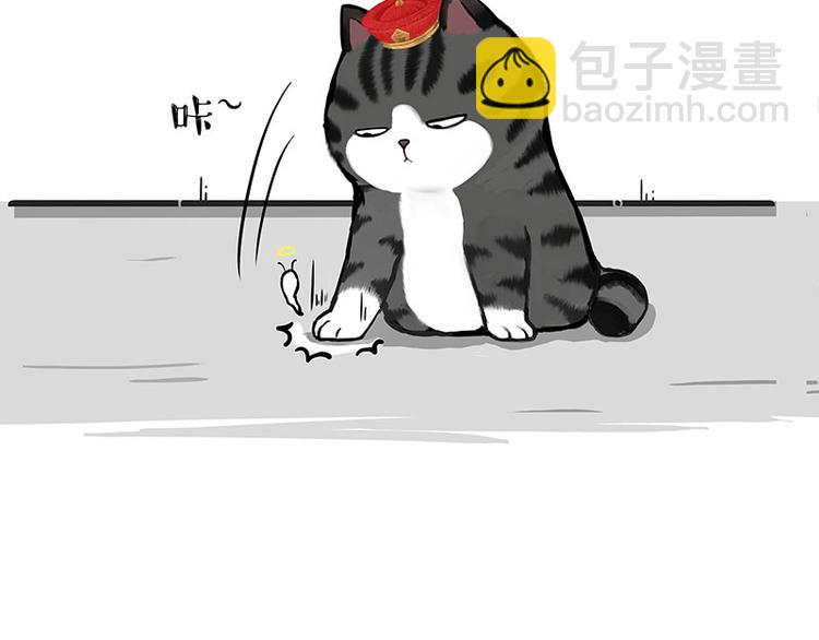 第261话 灭蟑？43