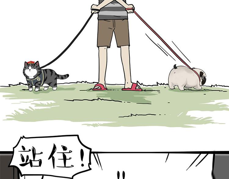 第262话 忠犬巴扎黑？！12