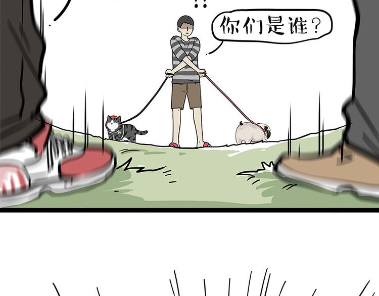 第262话 忠犬巴扎黑？！13