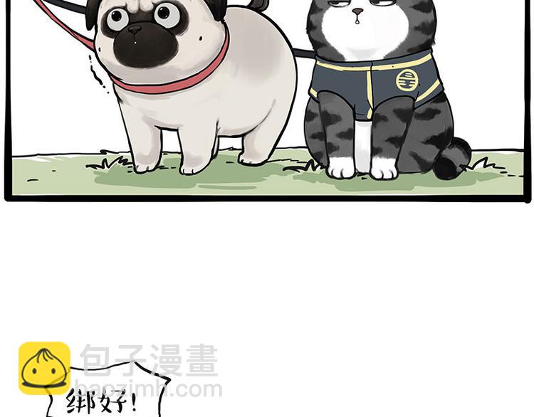 第262话 忠犬巴扎黑？！20