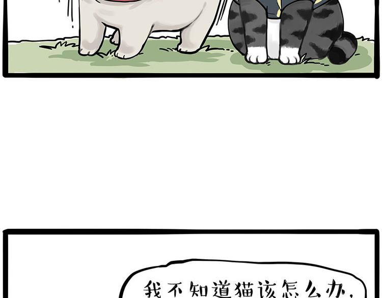 第262话 忠犬巴扎黑？！23
