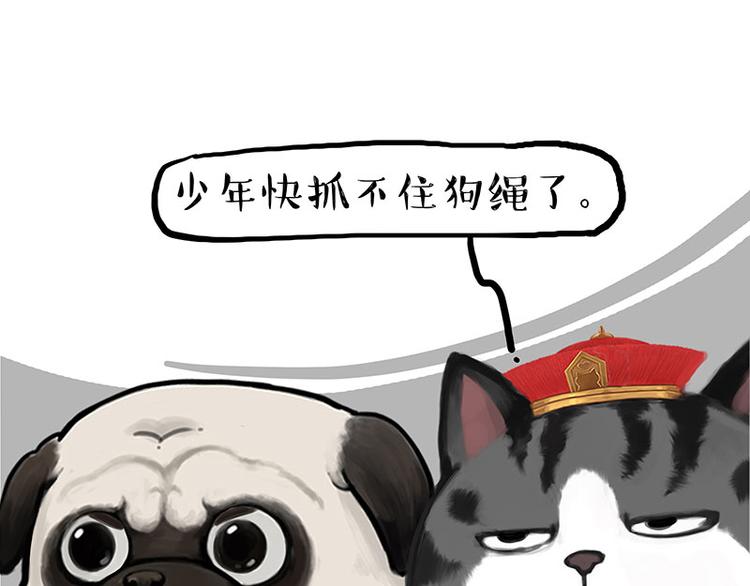 第262话 忠犬巴扎黑？！42