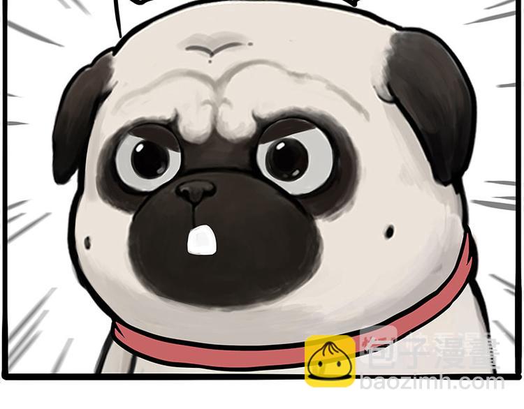 第262话 忠犬巴扎黑？！44