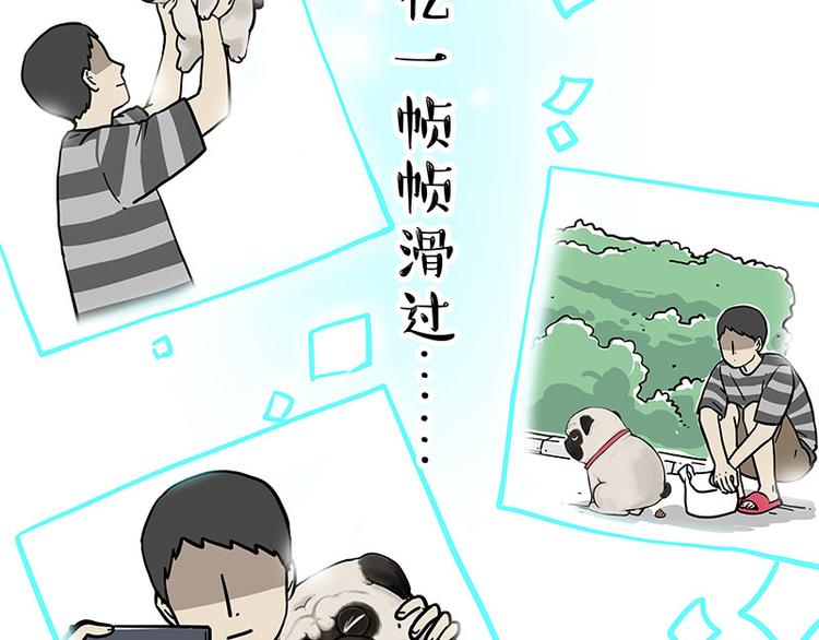 第262话 忠犬巴扎黑？！55