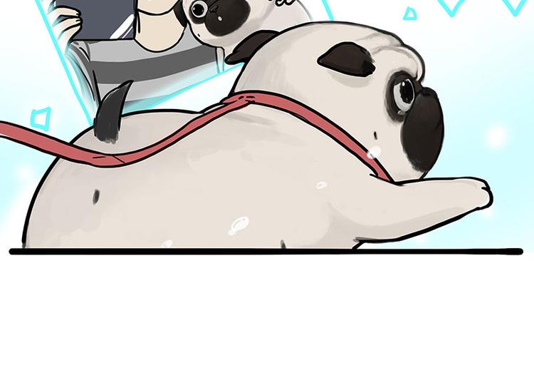 第262话 忠犬巴扎黑？！56