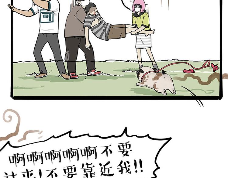 第262话 忠犬巴扎黑？！65