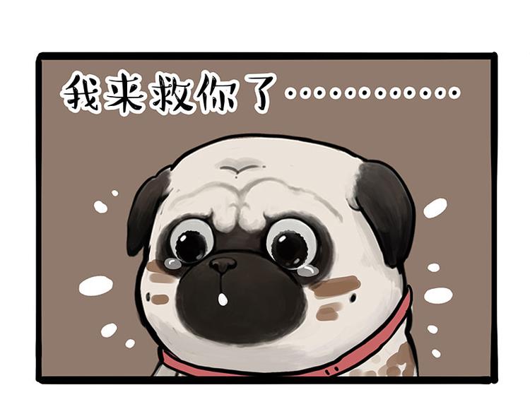 第262话 忠犬巴扎黑？！68
