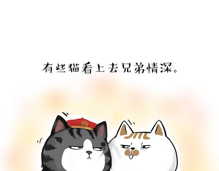 第263话 没心没肺的快乐14