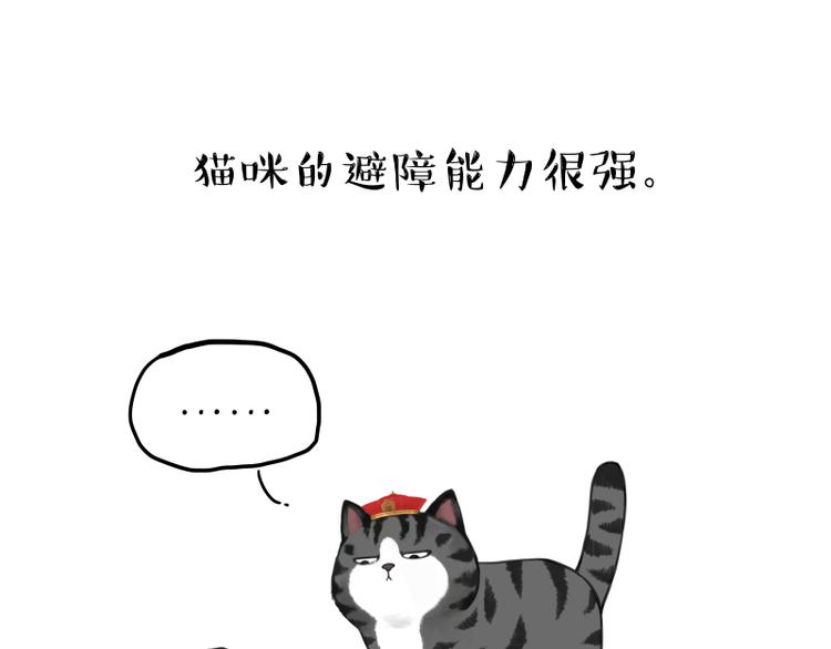 第263话 没心没肺的快乐18