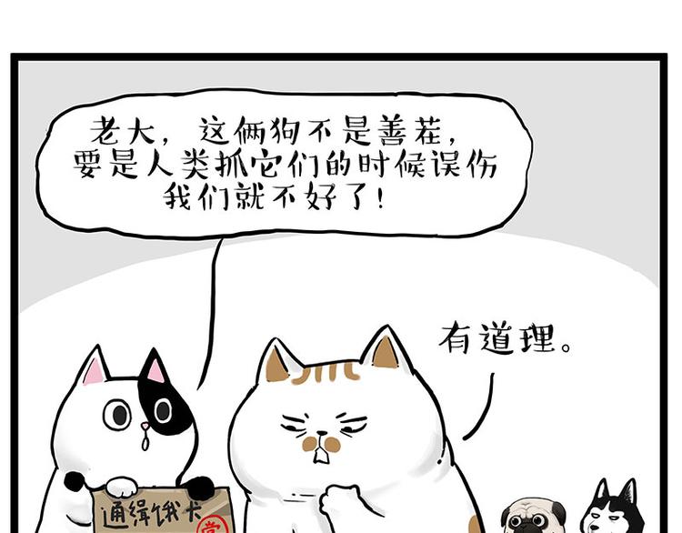 第264话 父愁者联盟！57