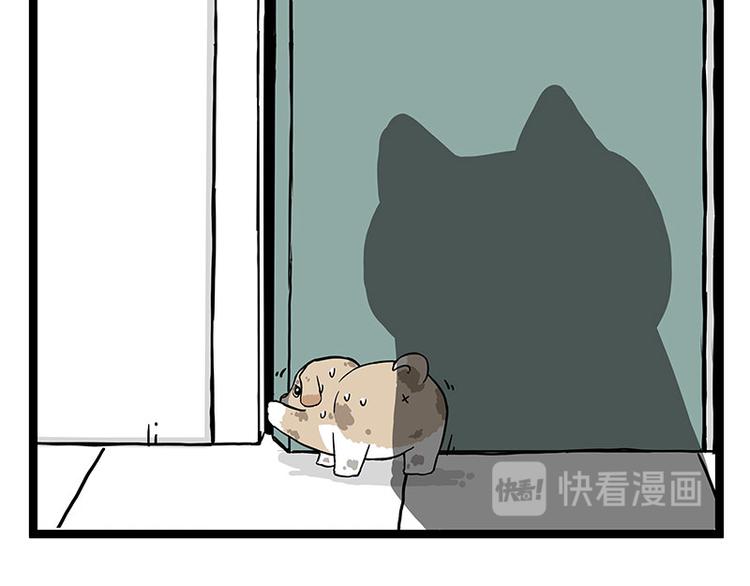 第266话 我偷垃圾养你10