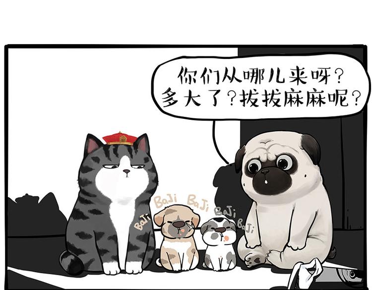 第267话 不让你流浪0