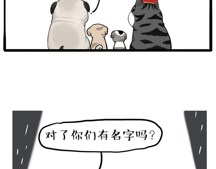 第267话 不让你流浪13