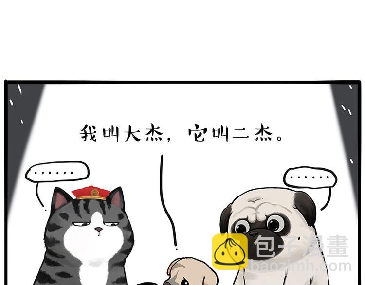 第267话 不让你流浪16