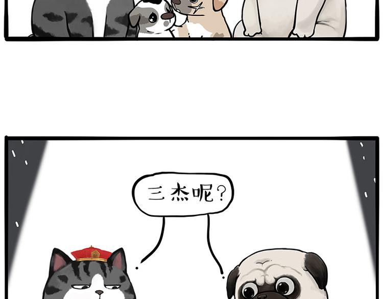 第267话 不让你流浪17