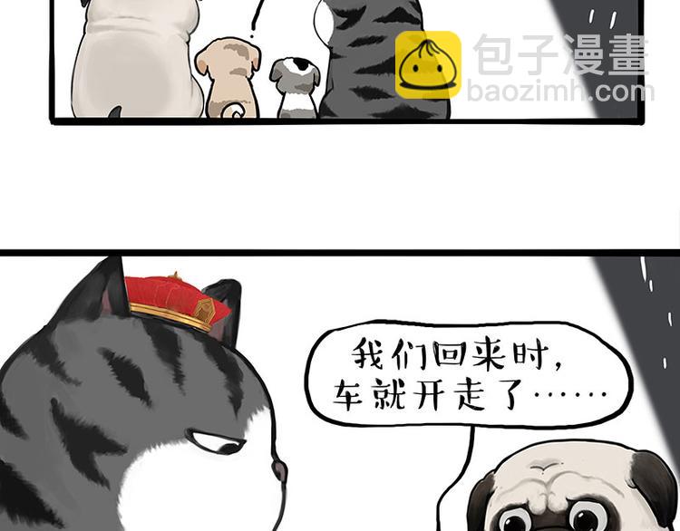 第267话 不让你流浪21
