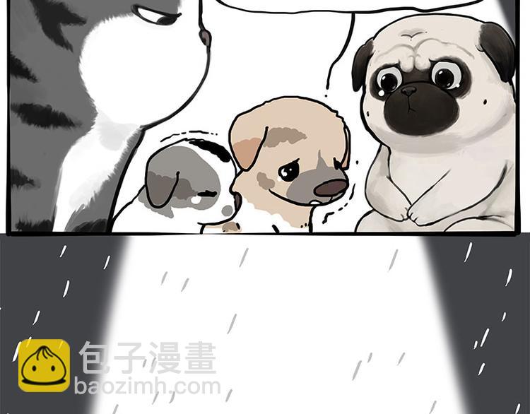 第267话 不让你流浪23