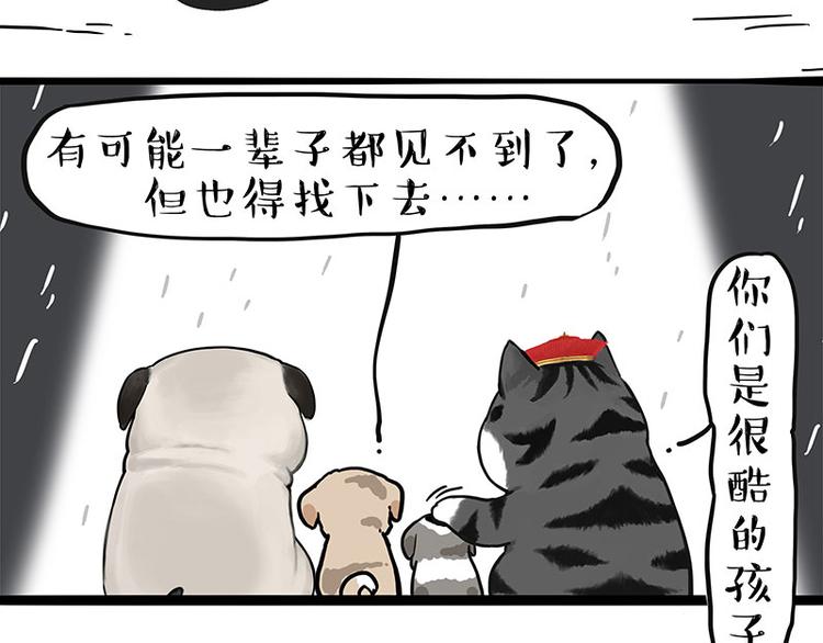 第267话 不让你流浪25