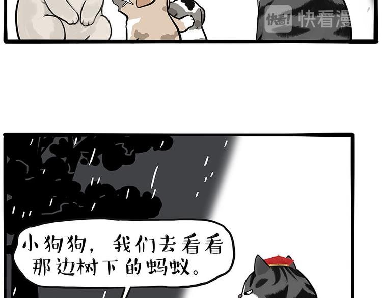 第267话 不让你流浪27