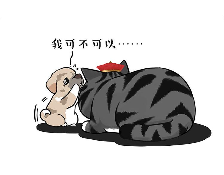 第267话 不让你流浪32