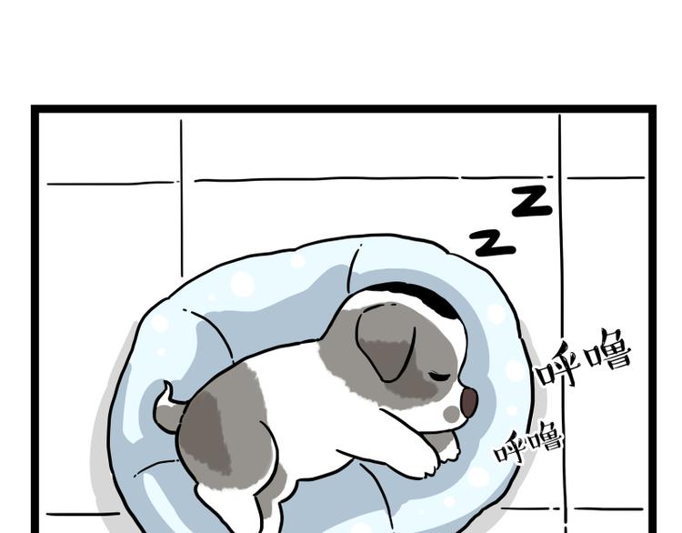 第267话 不让你流浪38