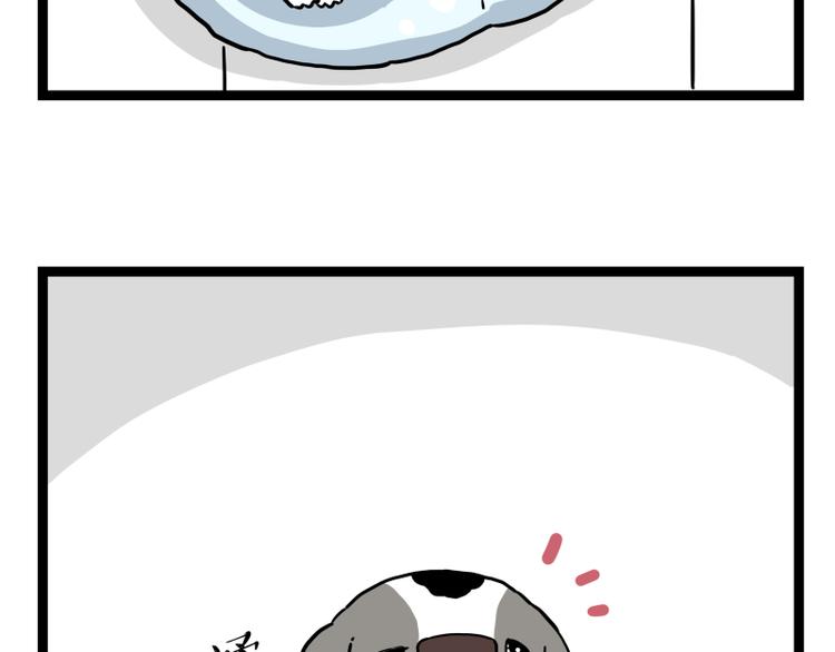 第267话 不让你流浪39