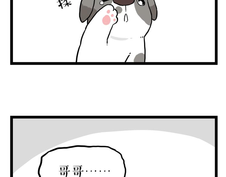 第267话 不让你流浪40