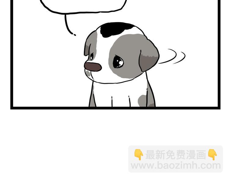 第267话 不让你流浪41