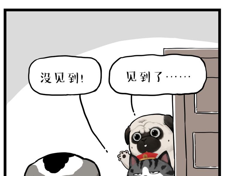 第267话 不让你流浪45
