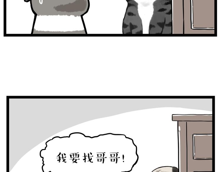 第267话 不让你流浪55