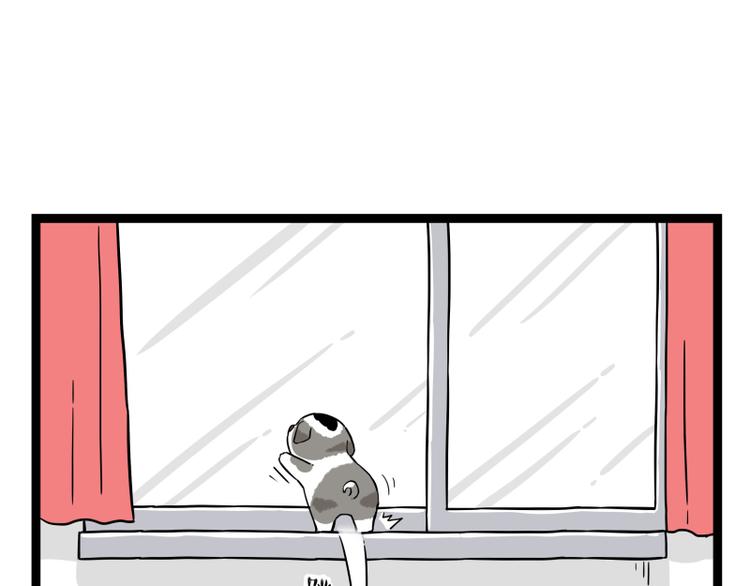 第267话 不让你流浪57
