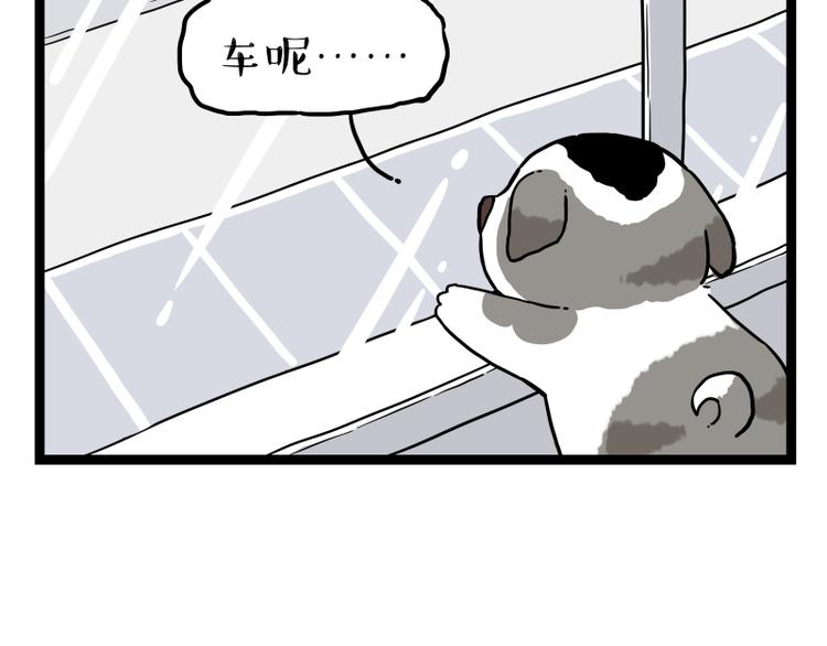 第267话 不让你流浪59