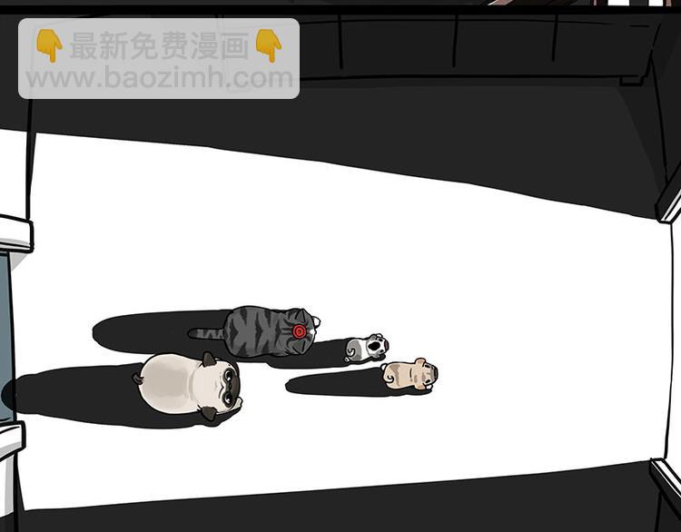 第267话 不让你流浪6