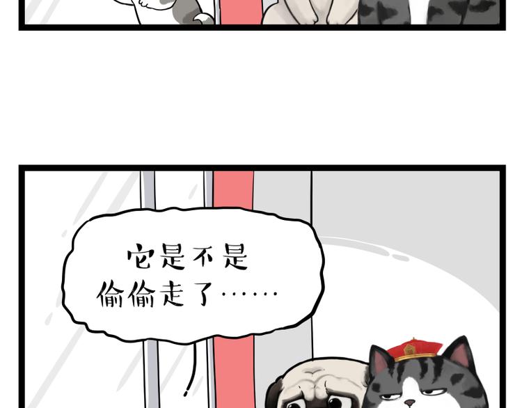 第267话 不让你流浪61