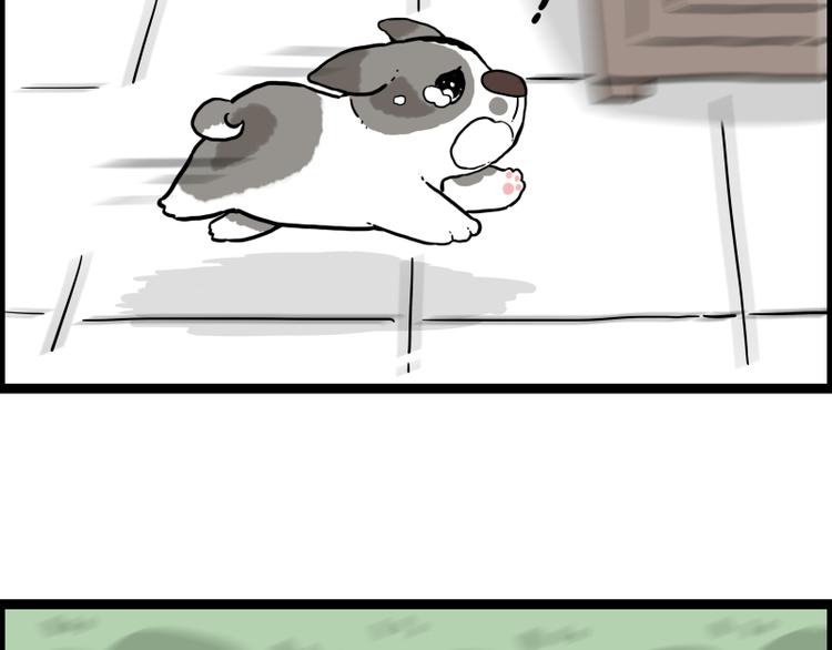 第267话 不让你流浪65
