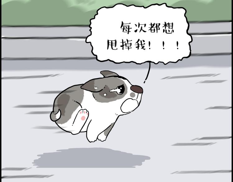 第267话 不让你流浪66