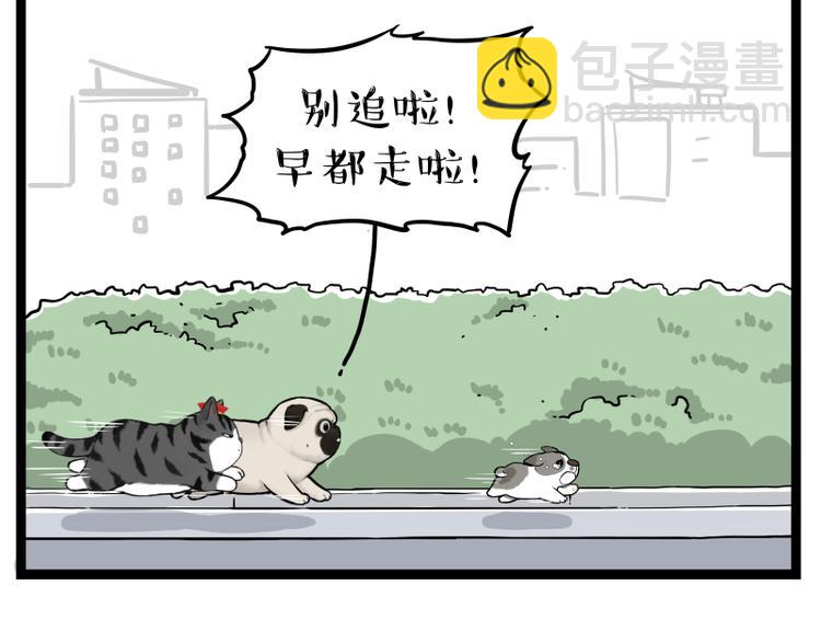第267话 不让你流浪69
