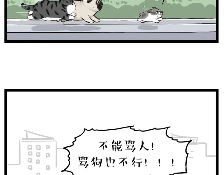 第267话 不让你流浪72