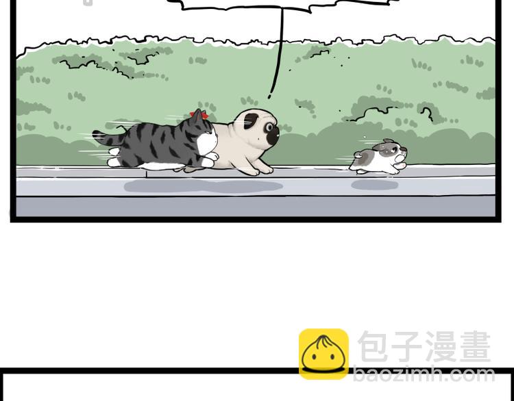 第267话 不让你流浪73