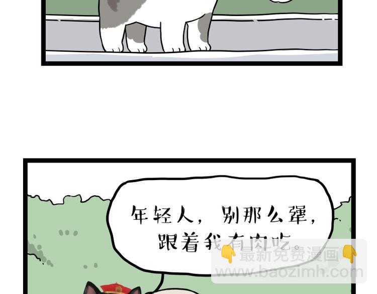 第267话 不让你流浪76