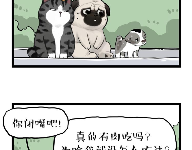 第267话 不让你流浪77