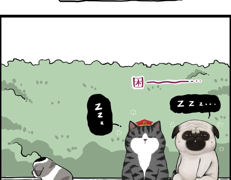 第267话 不让你流浪79