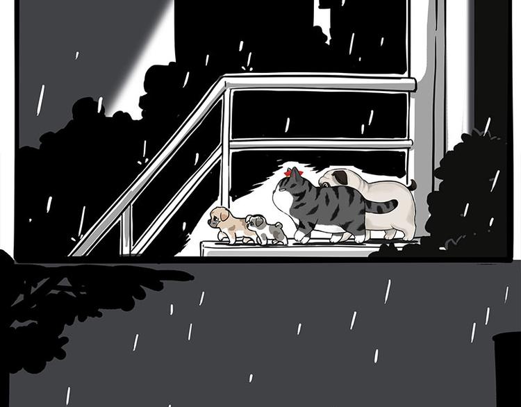 第267话 不让你流浪8
